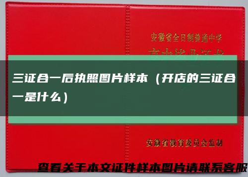 三證合一后執照圖片樣本（開店的三證合一是什么）縮略圖