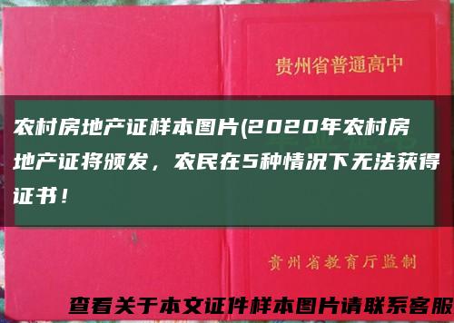 農村房地產證樣本圖片(2020年農村房地產證將頒發，農民在5種情況下無法獲得證書！縮略圖