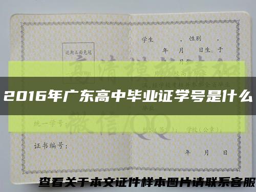 2016年廣東高中畢業證學號是什么縮略圖