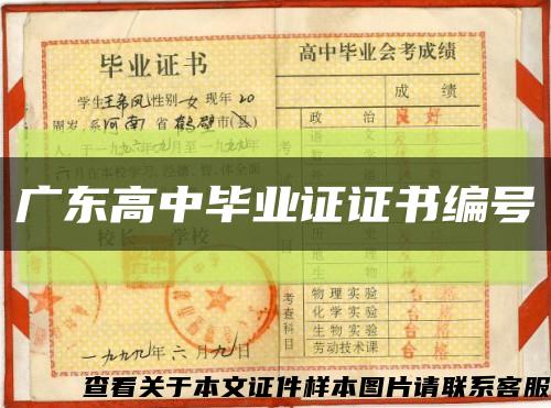 廣東高中畢業證證書編號縮略圖