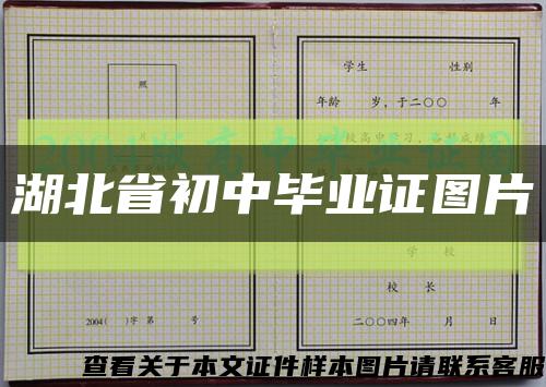 湖北省初中畢業證圖片縮略圖