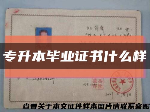 專升本畢業證書什么樣縮略圖