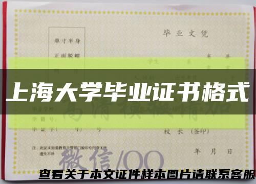 上海大學畢業證書格式縮略圖