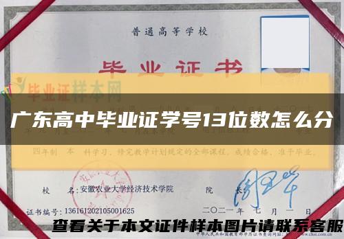 廣東高中畢業證學號13位數怎么分縮略圖
