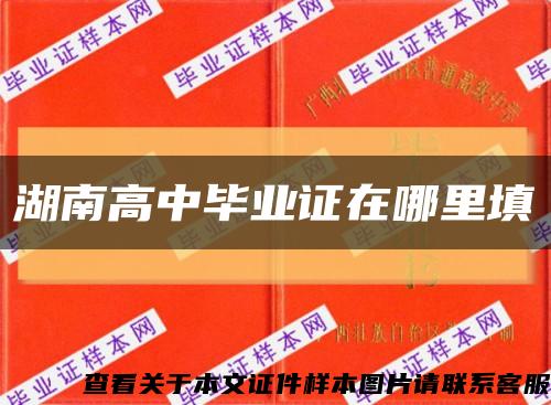 湖南高中畢業證在哪里填縮略圖
