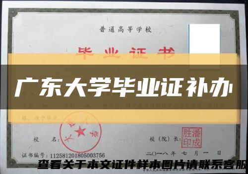 廣東大學畢業證補辦縮略圖