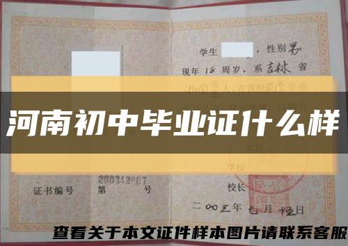 河南初中畢業證什么樣縮略圖