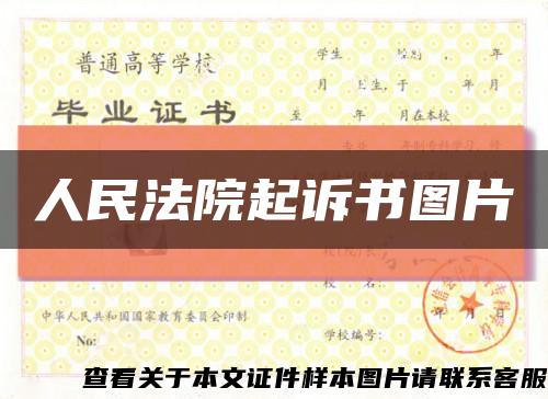 人民法院起訴書圖片縮略圖