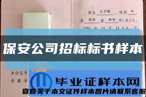 保安公司招標標書樣本縮略圖