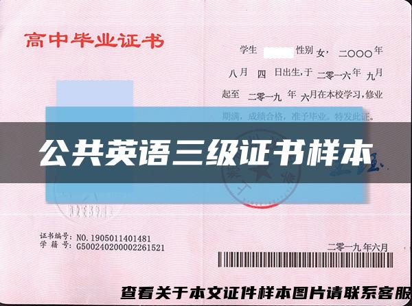 公共英語三級證書樣本縮略圖