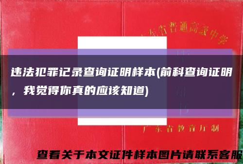 違法犯罪記錄查詢證明樣本(前科查詢證明，我覺得你真的應該知道)縮略圖