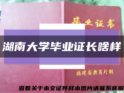 湖南大學畢業證長啥樣縮略圖