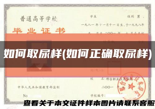 如何取尿樣(如何正確取尿樣)縮略圖
