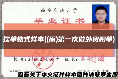 提單格式樣本((原)第一次做外貿跟單)縮略圖