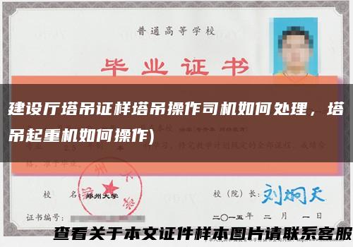 建設廳塔吊證樣塔吊操作司機如何處理，塔吊起重機如何操作)縮略圖