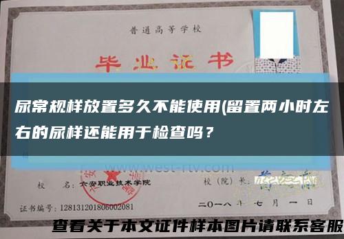 尿常規樣放置多久不能使用(留置兩小時左右的尿樣還能用于檢查嗎？縮略圖