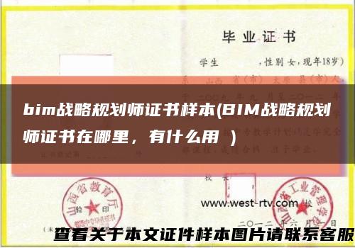 bim戰略規劃師證書樣本(BIM戰略規劃師證書在哪里，有什么用 )縮略圖