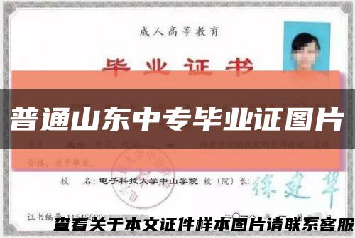 普通山東中專畢業證圖片縮略圖