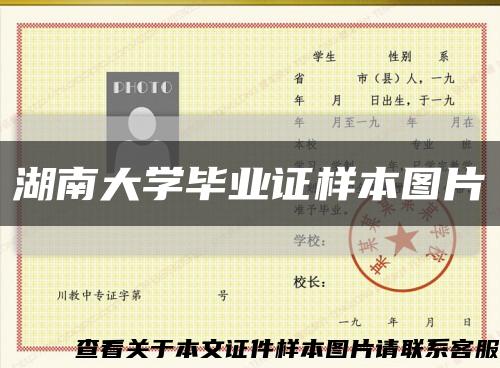 湖南大學畢業證樣本圖片縮略圖