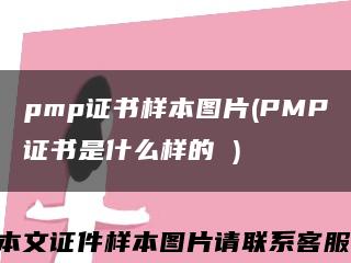 pmp證書樣本圖片(PMP證書是什么樣的 )縮略圖