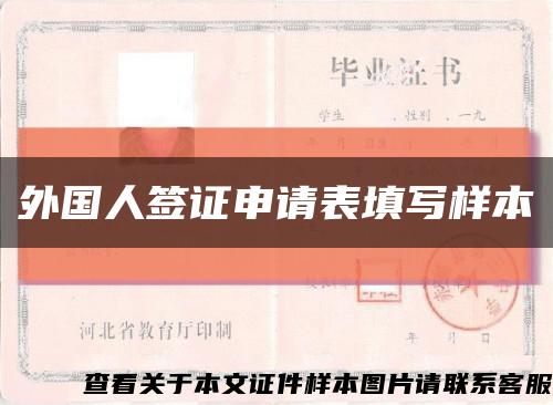外國人簽證申請表填寫樣本縮略圖