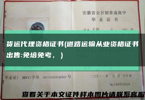 貨運代理資格證書(道路運輸從業資格證書出售:免培免考，）縮略圖