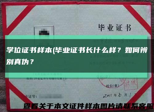 學位證書樣本(畢業證書長什么樣？如何辨別真偽？縮略圖