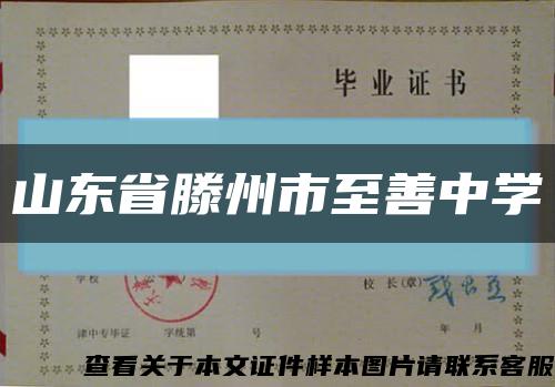 山東省滕州市至善中學縮略圖