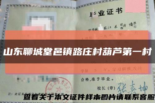 山東聊城堂邑鎮路莊村葫蘆第一村縮略圖