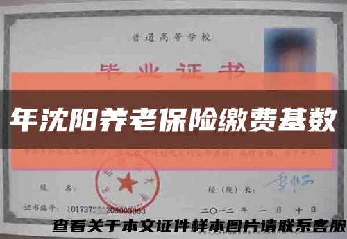 年沈陽養老保險繳費基數縮略圖