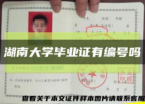 湖南大學畢業證有編號嗎縮略圖