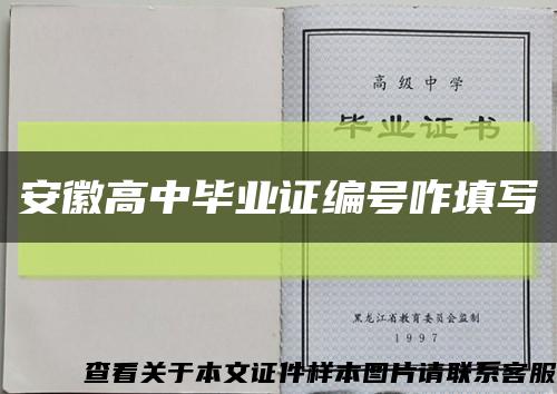 安徽高中畢業證編號咋填寫縮略圖