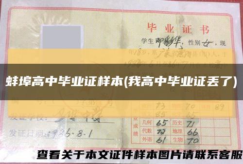 蚌埠高中畢業證樣本(我高中畢業證丟了)縮略圖
