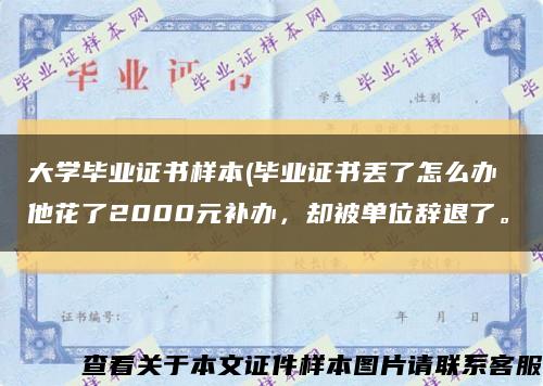 大學畢業證書樣本(畢業證書丟了怎么辦 他花了2000元補辦，卻被單位辭退了?？s略圖