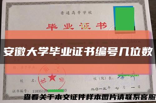 安徽大學畢業證書編號幾位數縮略圖