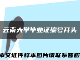 云南大學畢業證編號開頭縮略圖