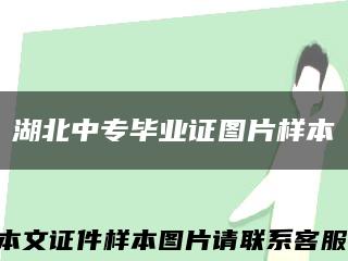湖北中專畢業證圖片樣本縮略圖