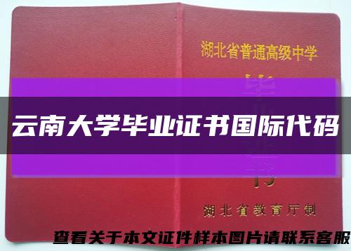 云南大學畢業證書國際代碼縮略圖