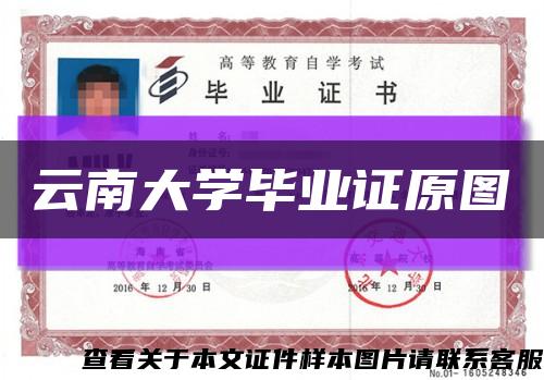 云南大學畢業證原圖縮略圖