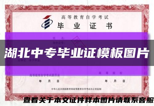 湖北中專畢業證模板圖片縮略圖
