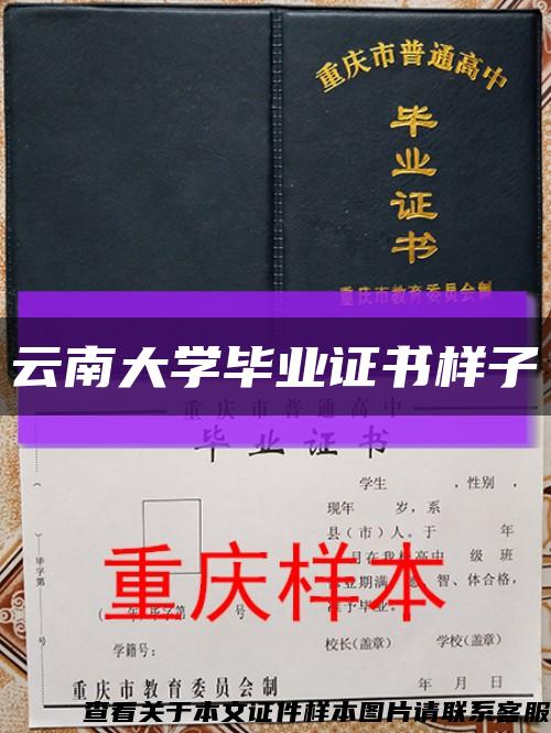 云南大學畢業證書樣子縮略圖