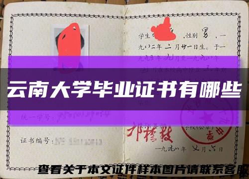云南大學畢業證書有哪些縮略圖