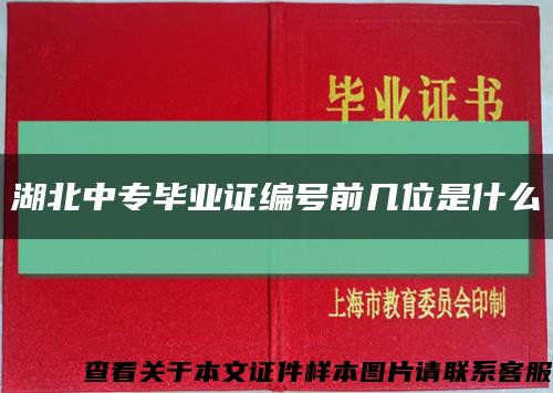 湖北中專畢業證編號前幾位是什么縮略圖