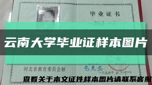 云南大學畢業證樣本圖片縮略圖
