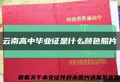 云南高中畢業證是什么顏色照片縮略圖