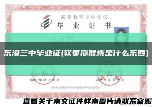東港三中畢業證(軟棗獼猴桃是什么東西)縮略圖