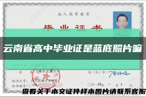 云南省高中畢業證是藍底照片嘛縮略圖