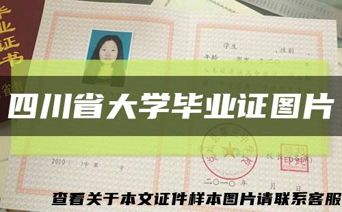 四川省大學畢業證圖片縮略圖