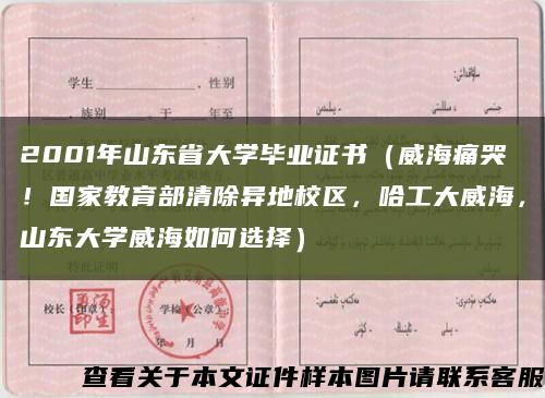 2001年山東省大學畢業證書（威海痛哭！國家教育部清除異地校區，哈工大威海，山東大學威海如何選擇）縮略圖
