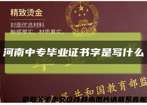 河南中專畢業證書字是寫什么縮略圖